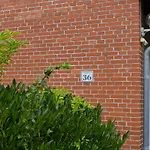 Inselblume 40 - Mit Garten In Daenschendorf